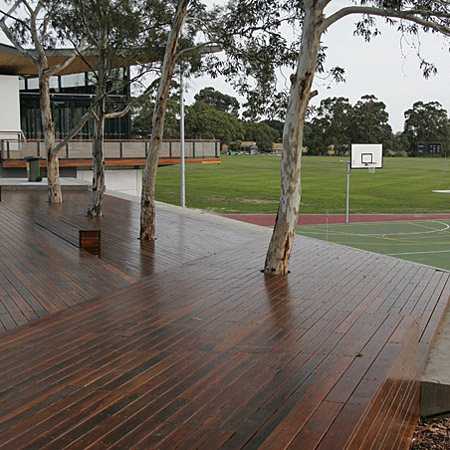 Spotted Gum decking